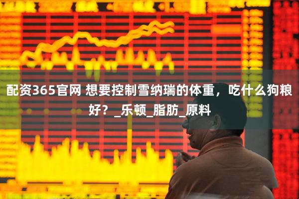 配资365官网 想要控制雪纳瑞的体重，吃什么狗粮好？_乐顿_脂肪_原料