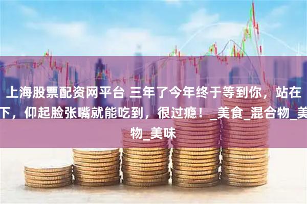 上海股票配资网平台 三年了今年终于等到你，站在树下，仰起脸张嘴就能吃到，很过瘾！_美食_混合物_美味
